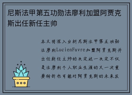 尼斯法甲第五功勋法廖利加盟阿贾克斯出任新任主帅 尼斯法甲第五功勋法廖利加盟阿贾克斯出任新任主帅