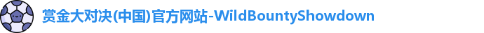 赏金大对决